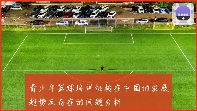 青少年篮球培训机构在中国的发展趋势及存在的问题分析