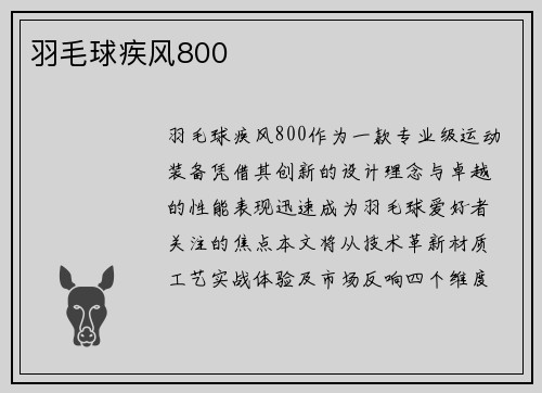 羽毛球疾风800