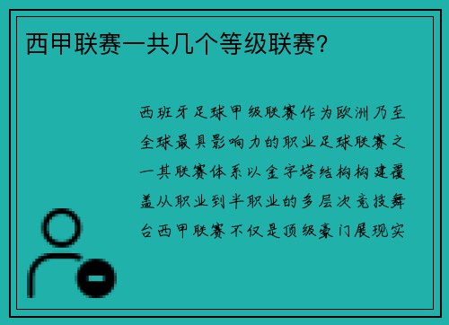西甲联赛一共几个等级联赛？